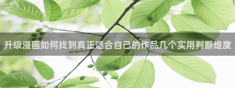 羞羞漫画人气漫画：升级漫画如何找到真正适合自己的作品几个实用判断维度