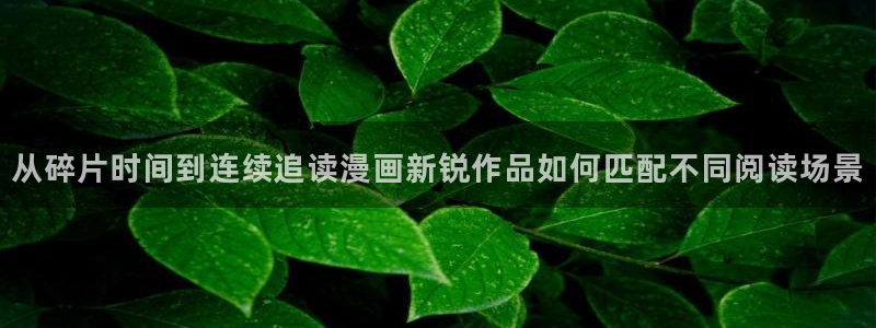 羞羞漫画热门漫画大全：从碎片时间到连续追读漫画新锐作品如何匹配不同阅读场景