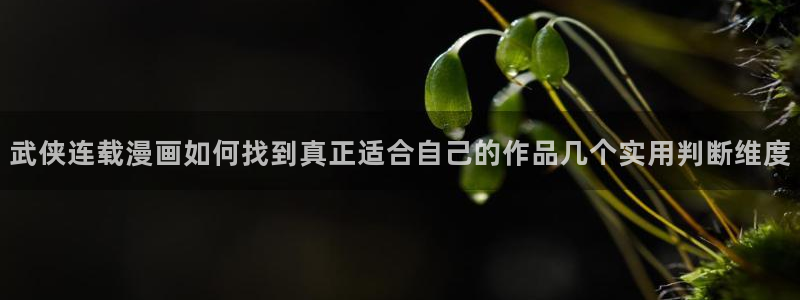 羞羞漫画连载漫画：武侠连载漫画如何找到真正适合自己的作品几个实用判断维度