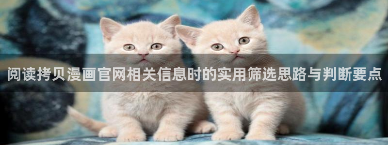 羞羞漫画热门连载：阅读拷贝漫画官网相关信息时的实用筛选思路与判断要点